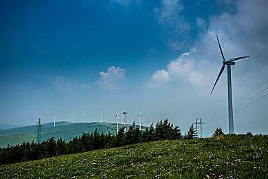 《幻兽帕鲁》推出恋爱衍生作品 现已上线Steam